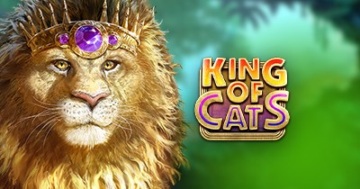 King of Cats