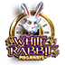 Weißer Hase