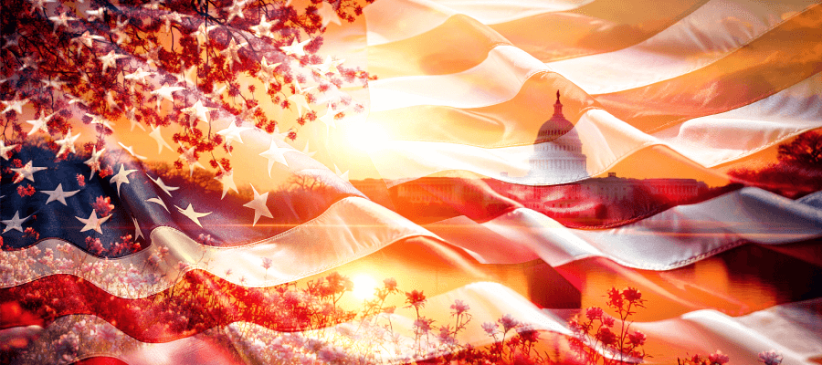 US-Wahl 2024 – Trump gegen Harris – Quoten
