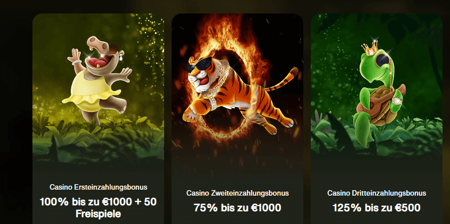 CashWin bietet drei verschiedene Bonusangebote für neue Spieler.
