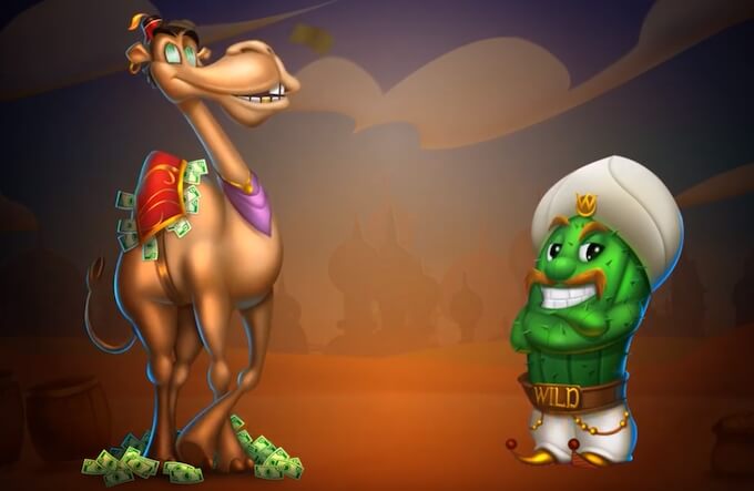 Cash Camel Design Bild Cash Camel Design