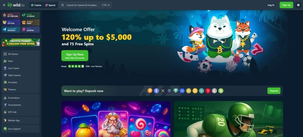 Die Webseite des Wild Casinos besticht durch ihr modernes Design.